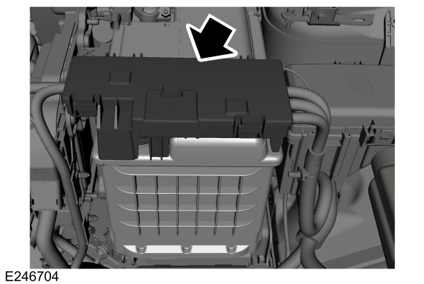 Detailní schéma pojistek Ford EcoSport pro pojistkovou skříň baterie.